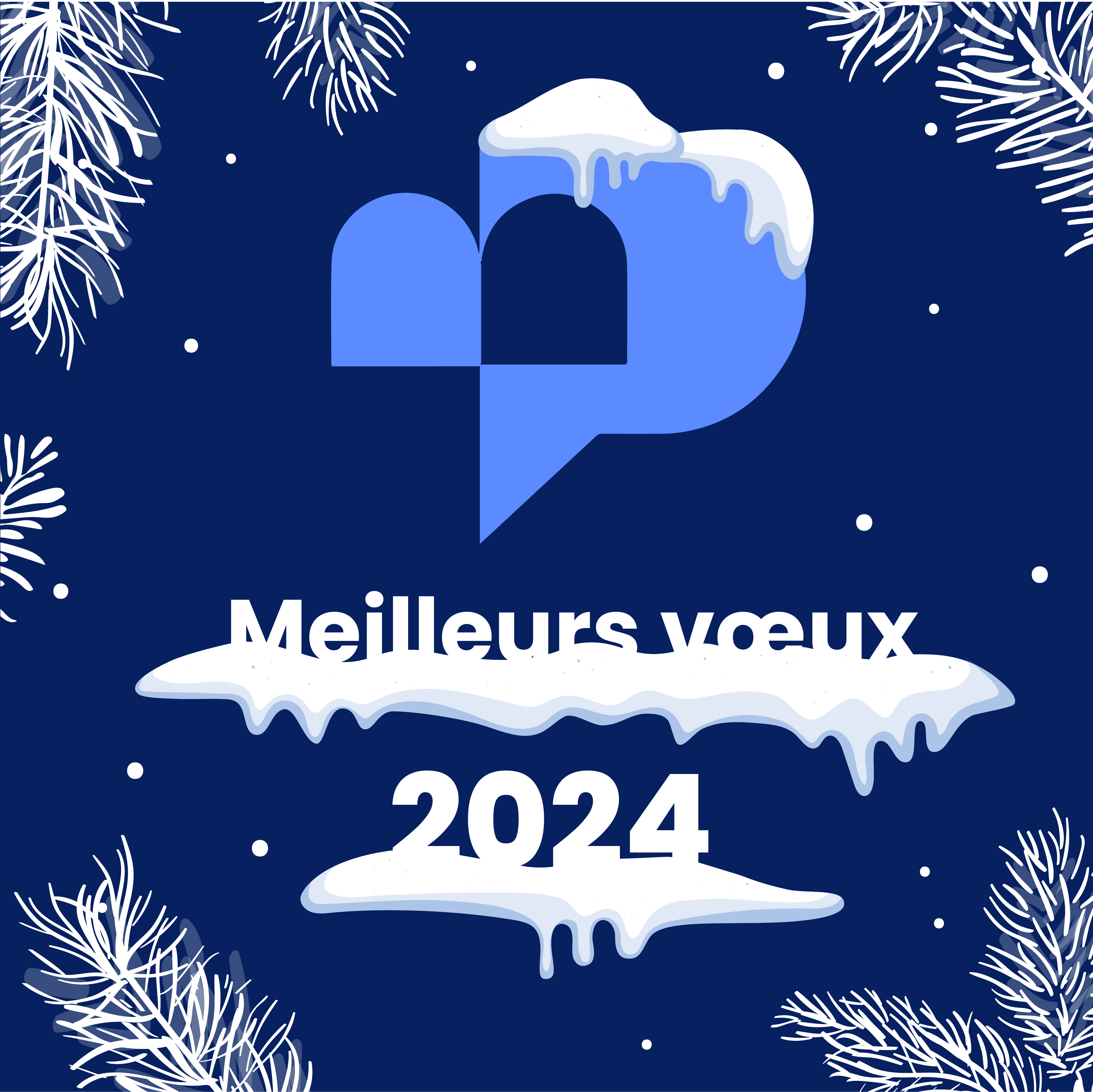 Meilleurs voeux 2024 de la part du Pimms Médiation Lyon Métropole